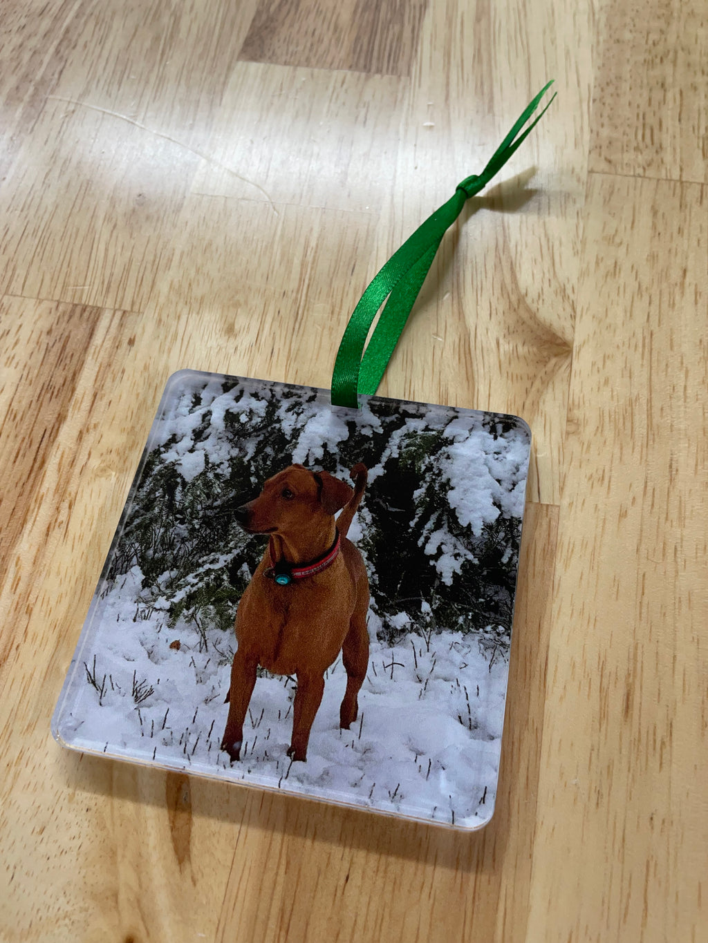 Acrylic Photo Keepsake Ornaments | Circle, Square & Rectangle